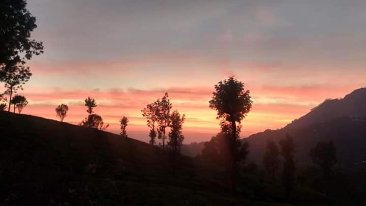 The Edge Hotel Munnar Exterior photo